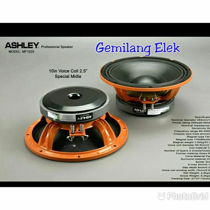 Speaker ASHLEY 10 inch MF1025 Original SPECIAL MIDLE