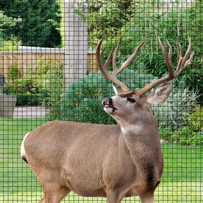 25 Meter Jaring Kawat Plastik Jaring Kandang Ayam Jaring Plastik HDPE Jaring Pagar Kolam Ikan