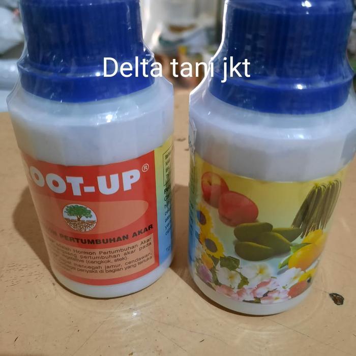Zat Perangsang Pertumbuhan Akar Tanaman