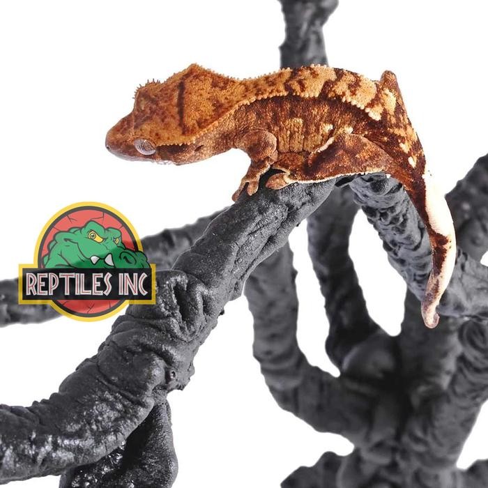 Exoterra Jungle Tree Ranting Pohon Dekor Kandang Hewan Reptil Iguana