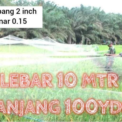 jaring sawah lebar 10 meter panjang 100yds jaring burung emprit jaring burung jaring burung pipit