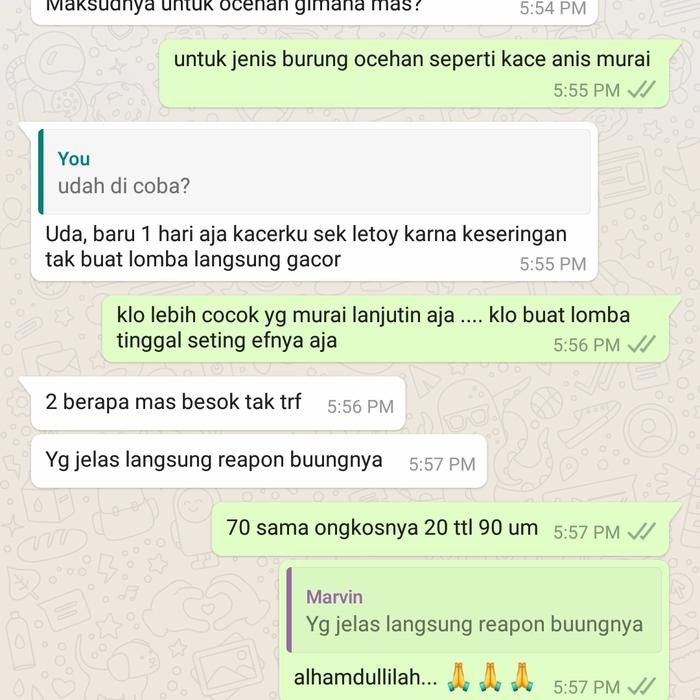 6yfd- Voer Vien Murai Batu Pakan Protein Tinggi