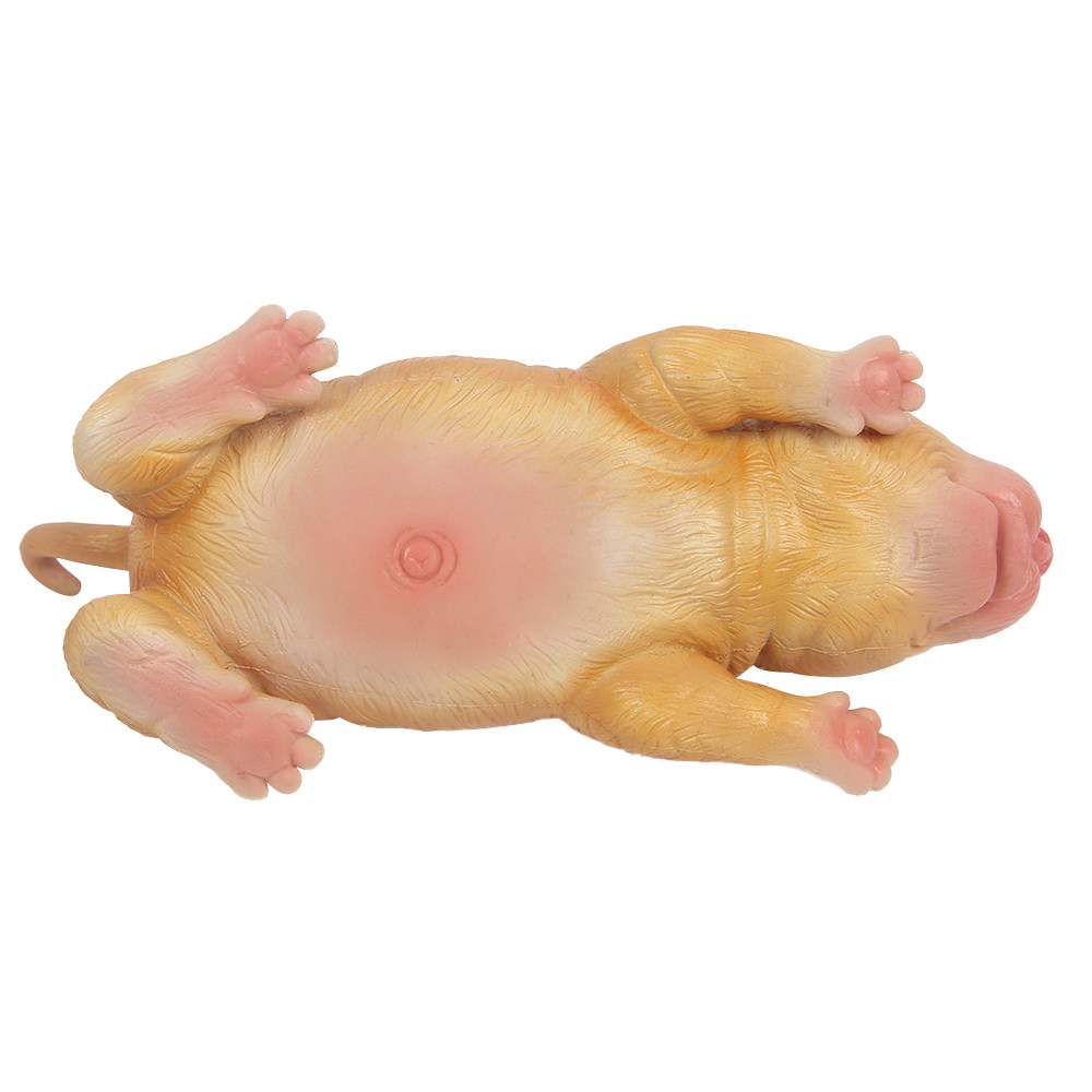 IVITA 18CM Full Silicone Reborn Dog Doll Unpainted with Realistic Eyes Collectible Art Toy for