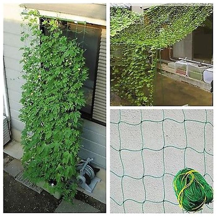 Jaring Rambatan Tanaman Plant Climbing Net