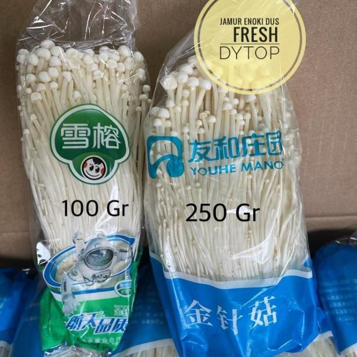 

Pilihan- Jamur Enoki Import Fresh Segar - Per Dus