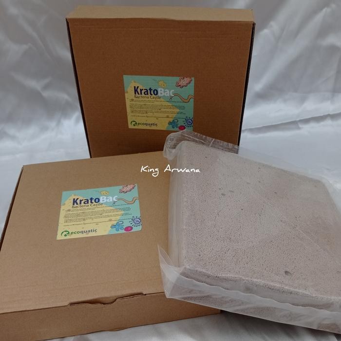 media filter kratobac bacteria bakteri