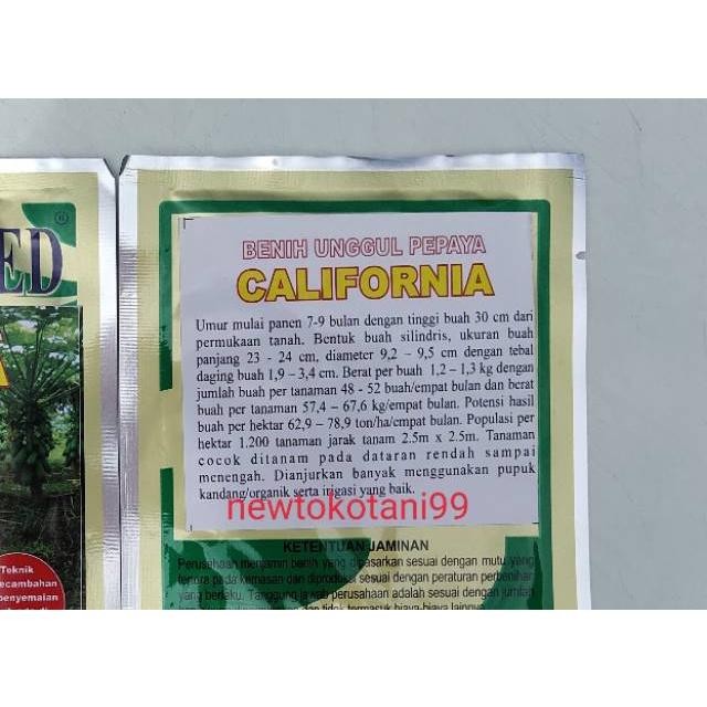 Benih pepaya california 1 gr benih kates raja seed