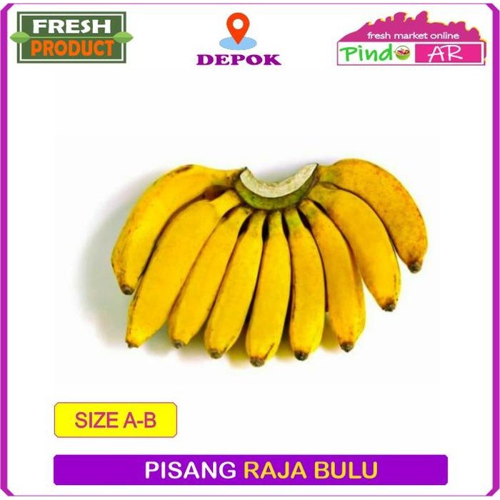 

Pilihan- Pisang Raja Bulu Buah Segar Berkualitas