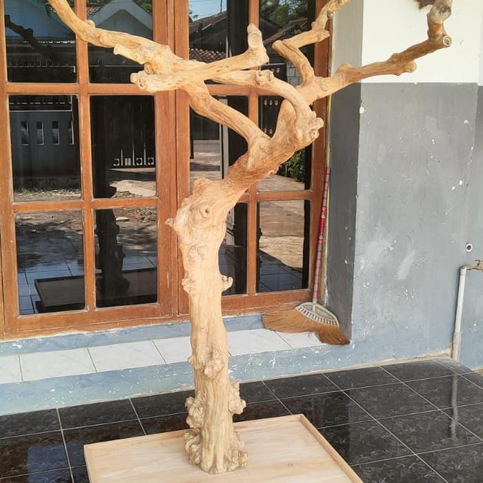 Tangkringan burung / parrot / reptil - tangkringan pohon kayu kopi