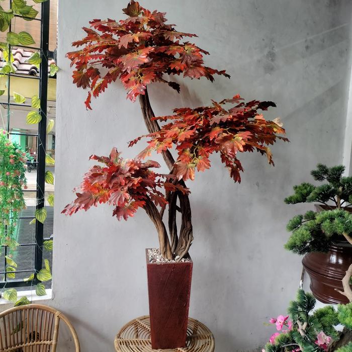 Pohon Maple Artificial - Pohon Maple Tinggi 170 Cm - Pohon Maple Coklat