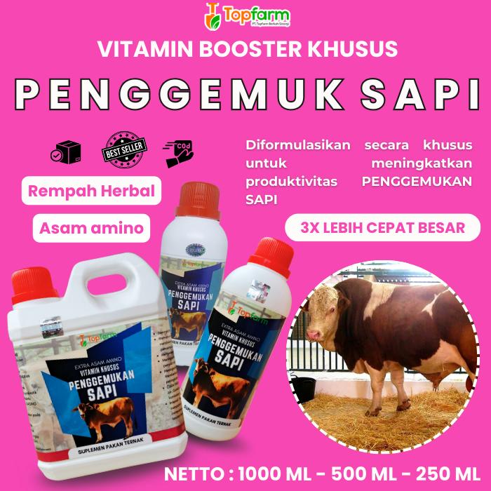 OBAT PENGGEMUK SAPI SUPER CEPAT/ VITAMIN TERNAK PENGGEMUK SAPI/ VITAMIN HERBAL SAPI / VITAMIN