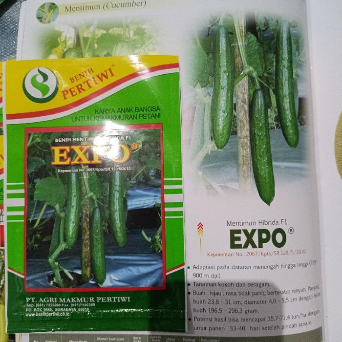 Juwara_Syatu Timun Jepang Expo 10G - Benih Mentimun Hibrida F1 Original Pertiwi - Timun Jepang