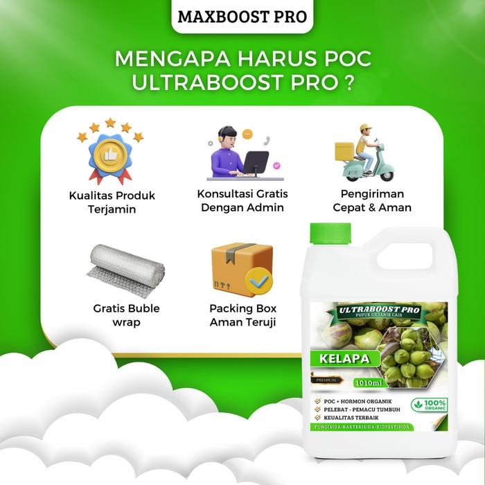 

Promo Pupuk Organik Cair Ultraboost Pro Khusus Tanaman Kelapa - Nutrisi Lengkap Untuk Hasil Panen