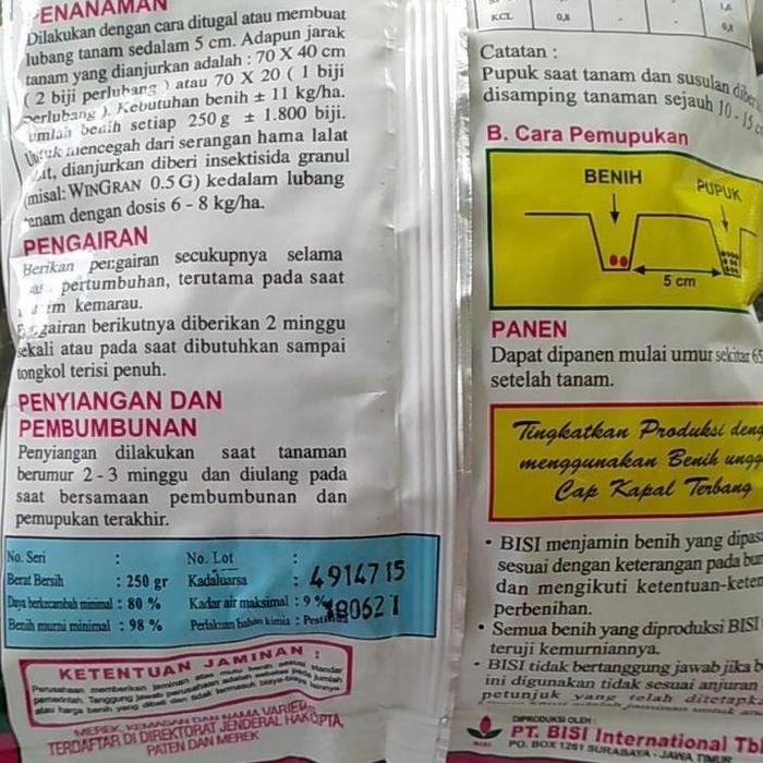 EKSLUSIF oi Benih jagung manis hibrida Sweet Boy (Paling Popular)