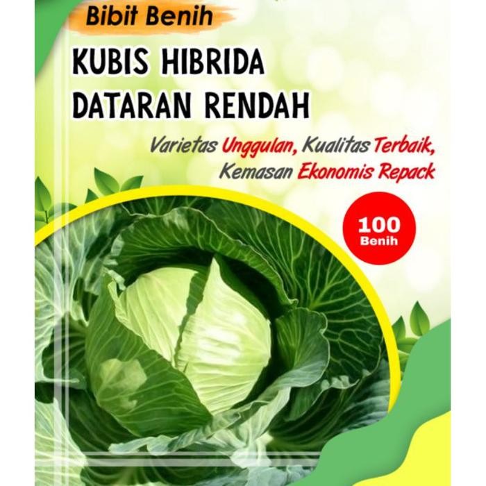 CUCI GUDANG Benih bibit sayuran Kubis Hibrida Dataran rendah super