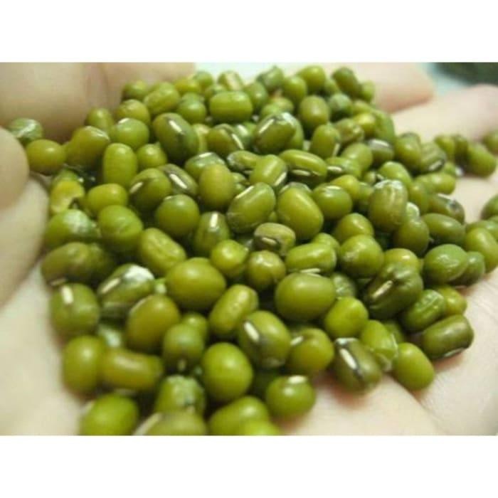 NEW Benih kacang hijau 1 kg (Butir Besar) kapswa 1137lm GM773