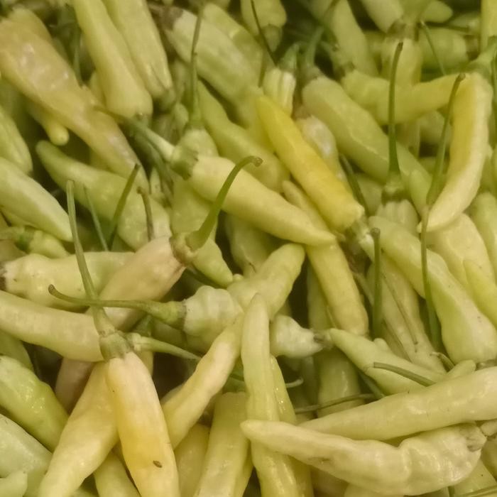 

Pilihan- Cabe Rawit Putih Segar 1Kg / Cabai Fresh