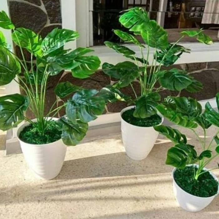 Pot Pirus Tawon Bunga Tanaman Putih 30 cm Plastik Awet Kuat