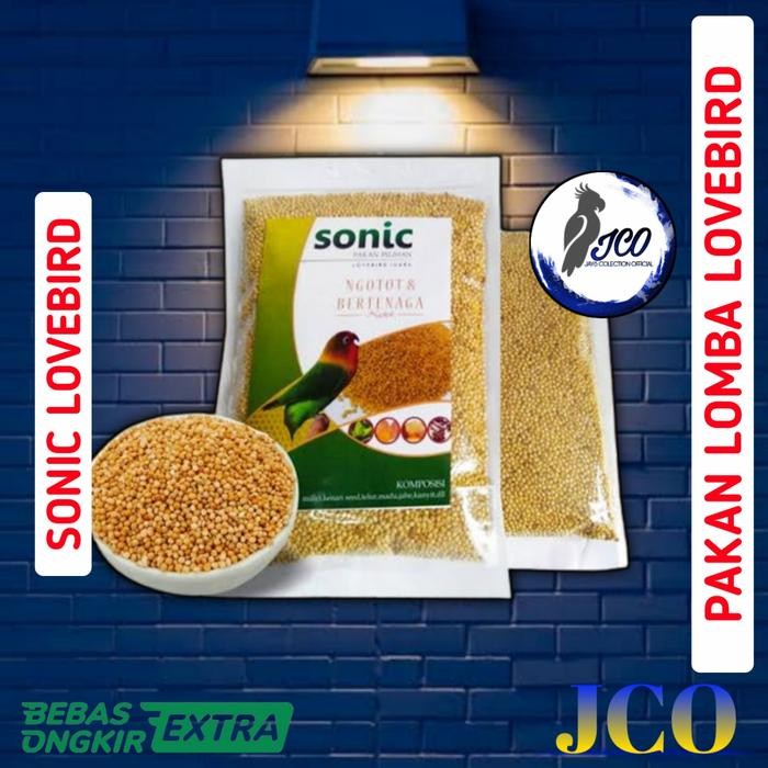 PAKAN LOMBA LOVEBIRD SONIC LOVEBIRD