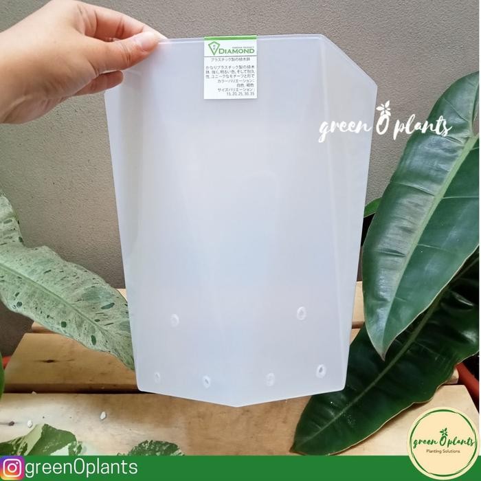 Pot TABITHA Diamond 30 Bening Berlubang