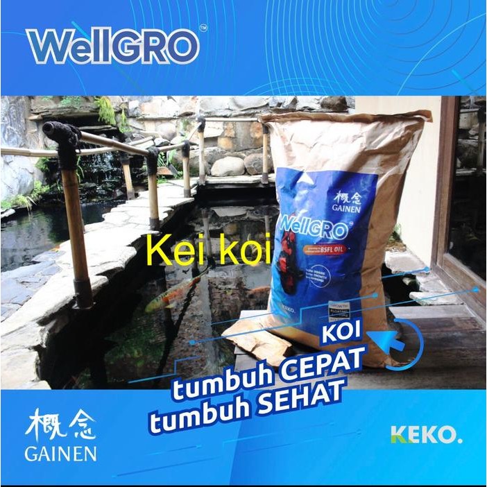 WELLGRO 15 KG SIZE L FLOATING MAKANAN IKAN KOI