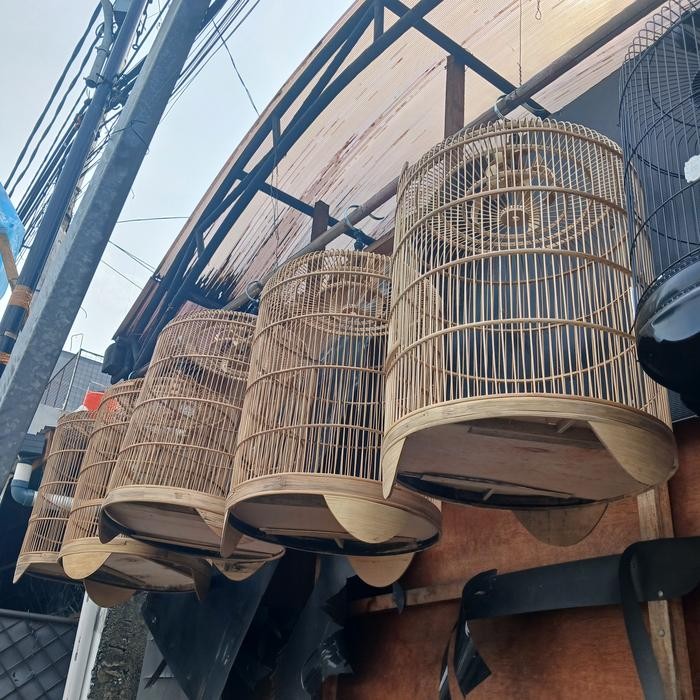 TERMURAH SANGKAR MURAI MENTAH MURAI SLOROK MURAI LACI READY STOCK