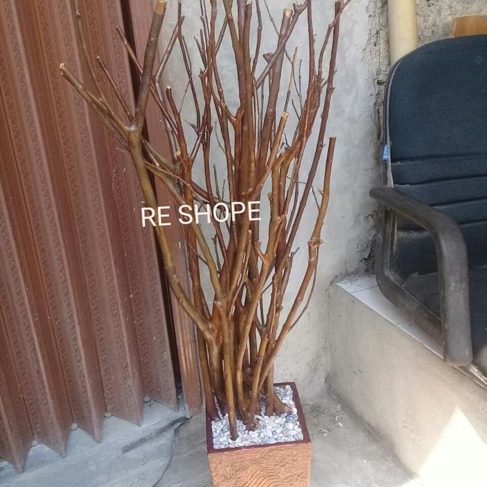 Pohon Ranting Kayu jambu Asli 120cm