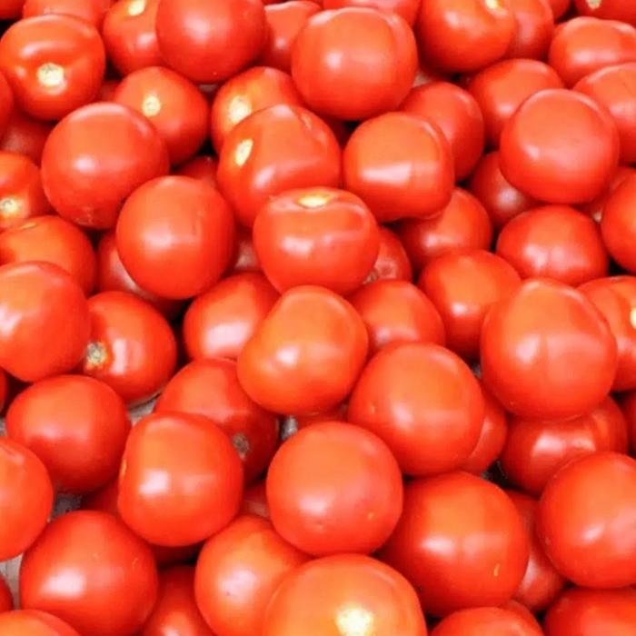 

Pilihan- Tomat Sayur Segar 500Gr Jual Per Lima Ratus Gram Ya Kak