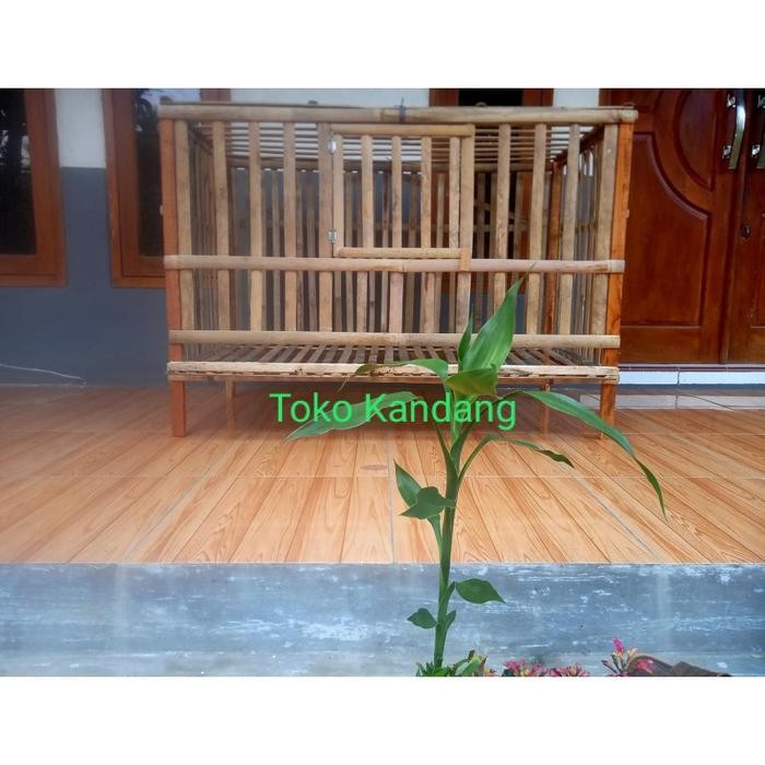 READY KANDANG AYAM PETELUR BAMBU LIPAT RAKITAN