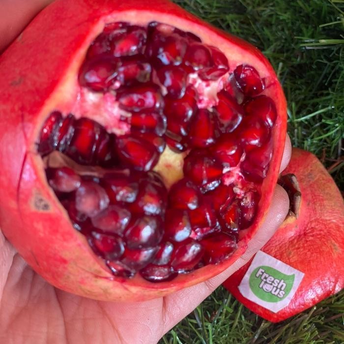 Fruitsz- Buah Delima Mesir Buah Segar Bandung