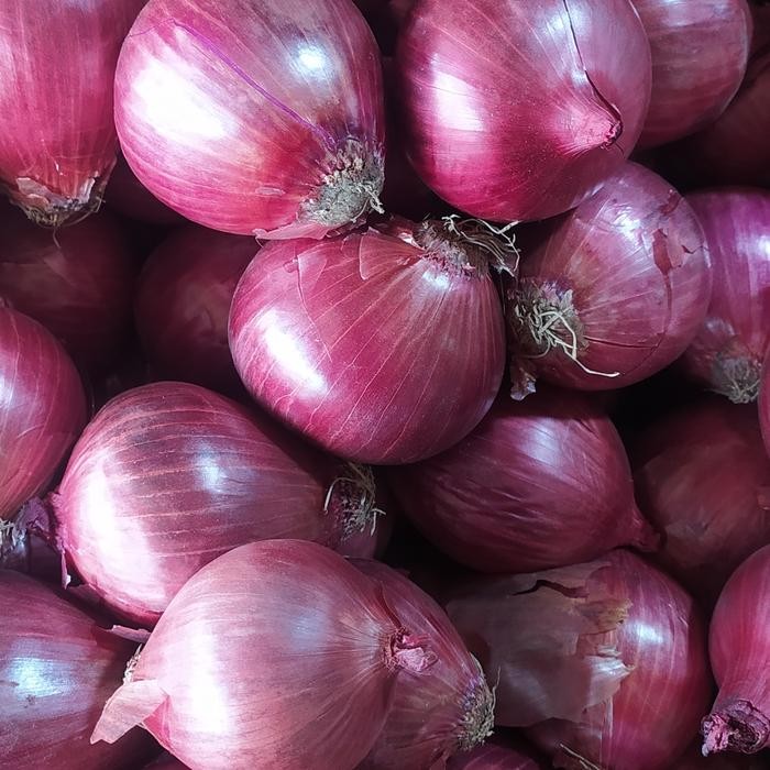 BumbuBUU- Bawang Bombay Merah 1Kg