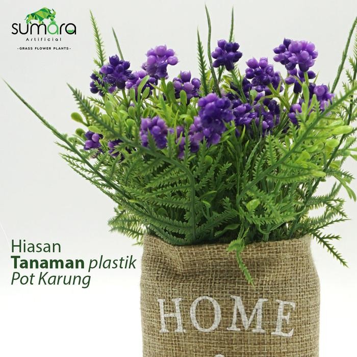 d253- Hyancith Anggur Unggu Pot Karung