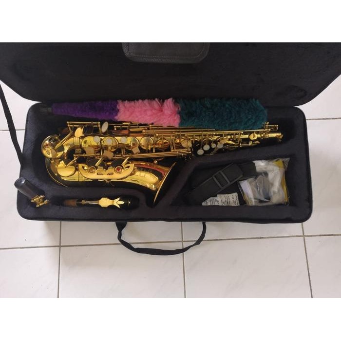 pf2j- Zeff France Alto Saxophone Zas-600 Gold