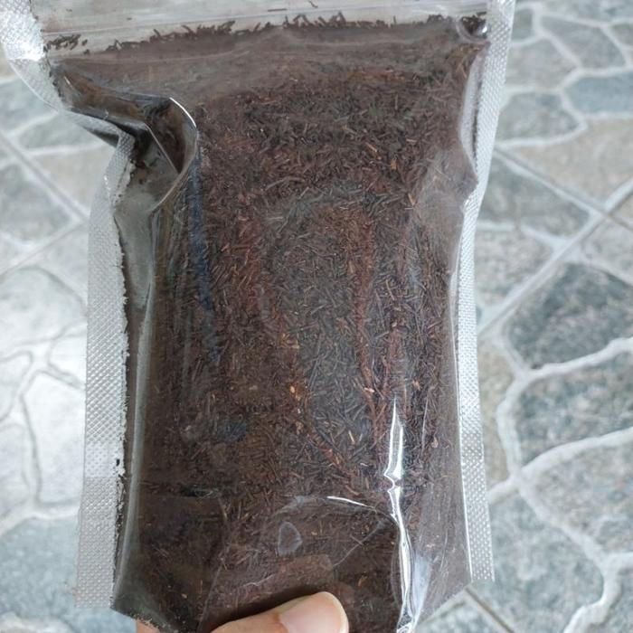 BERKUALITAS Media tanam akar pakis cacah halus oven steril 200gr cacahan pakis