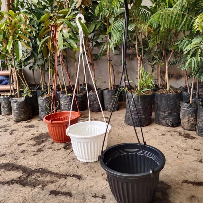 NEW pot gantung putih, pot pumba 20 putih, pot gantung 1 set gantungan
