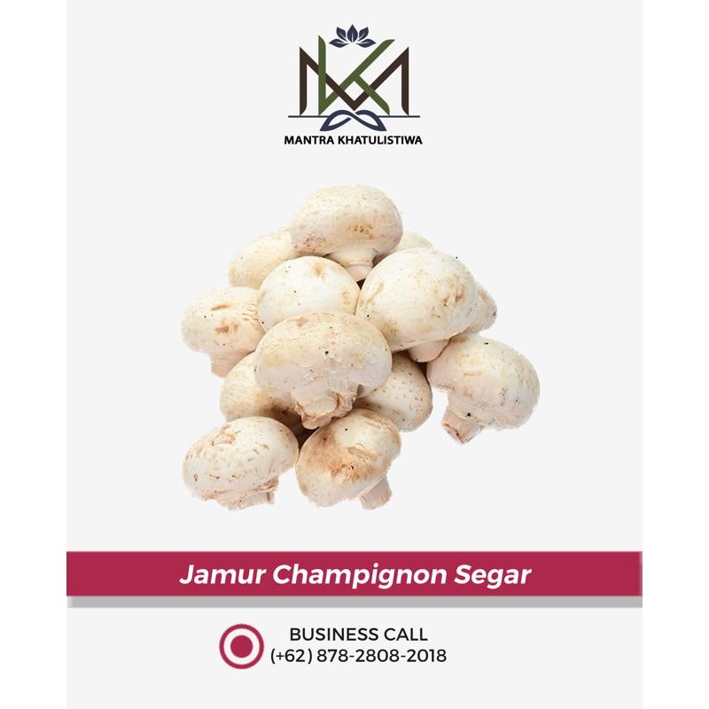 

Pilihan- Jamur Kancing Segar / Champignon