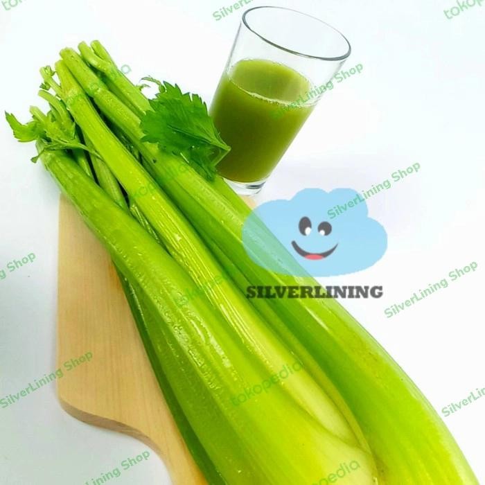 

Pilihan- Celery Import China Premium Celery Stick - Seledri Impor 10 Kg