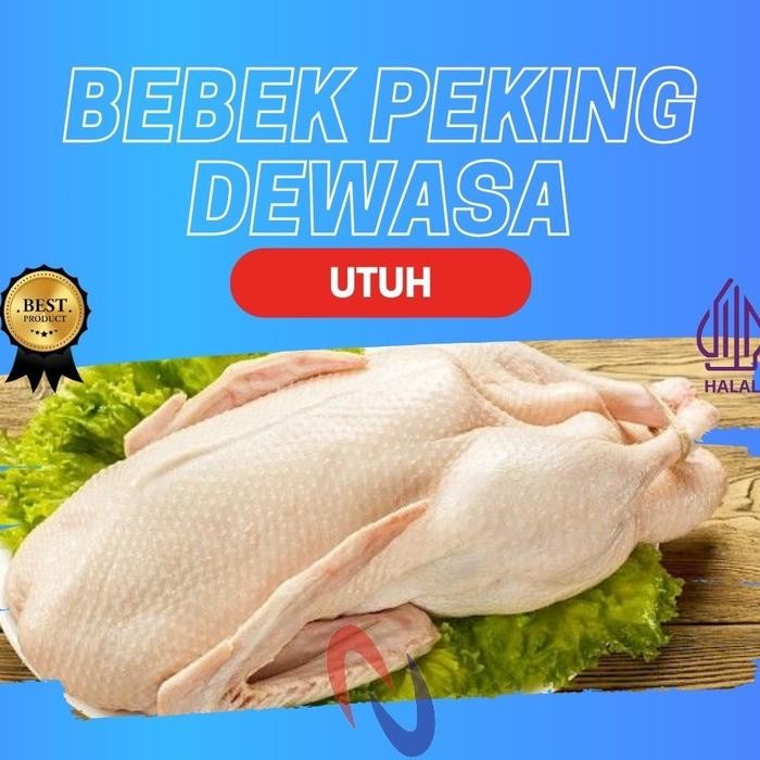 Pilihan- Bebek Peking Dewasa Utuh/ Whole Peking Full Duck
