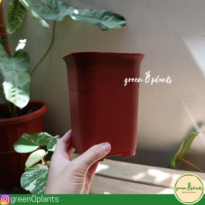 Pot Bunga Tanaman Plastik NKT Kotak 12 Coklat Bata