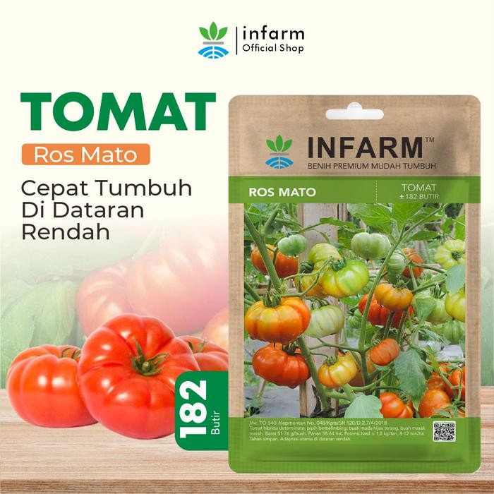 Stok Baru INFARM - Benih Tomat Mawar Rosmato, Benih Tomat Mawar Rosmato Unggul Bibit Tomat Mawar