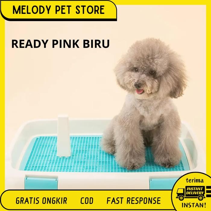 Pet Toilet Tempat Pup Pee Anjing Tempat Kencing Anjing