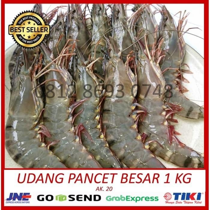 Instanbisa- Udang Pancet 500 Gr Ak 20 (10-12 Pcs)/ Windu / Giant Black Tiger Prawn