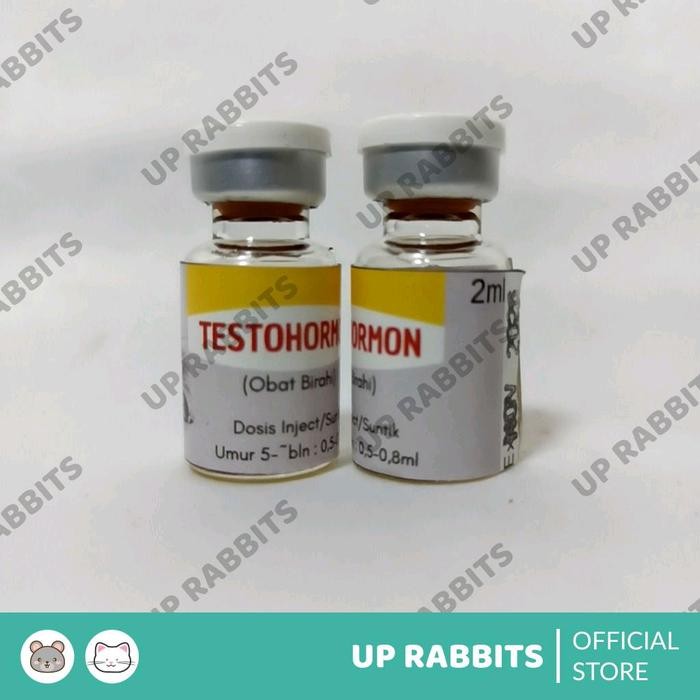 v0w1- Testohormon Inject Hormon Tingkatkan Reproduksi Hewan Jantan