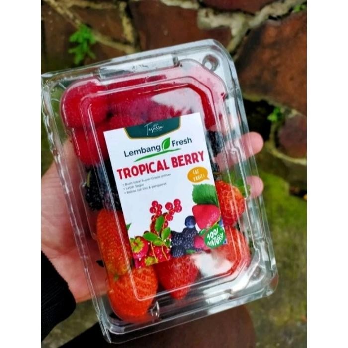 Eat77- Mix Berries Tropical Berry Fresh Lembang Fresh