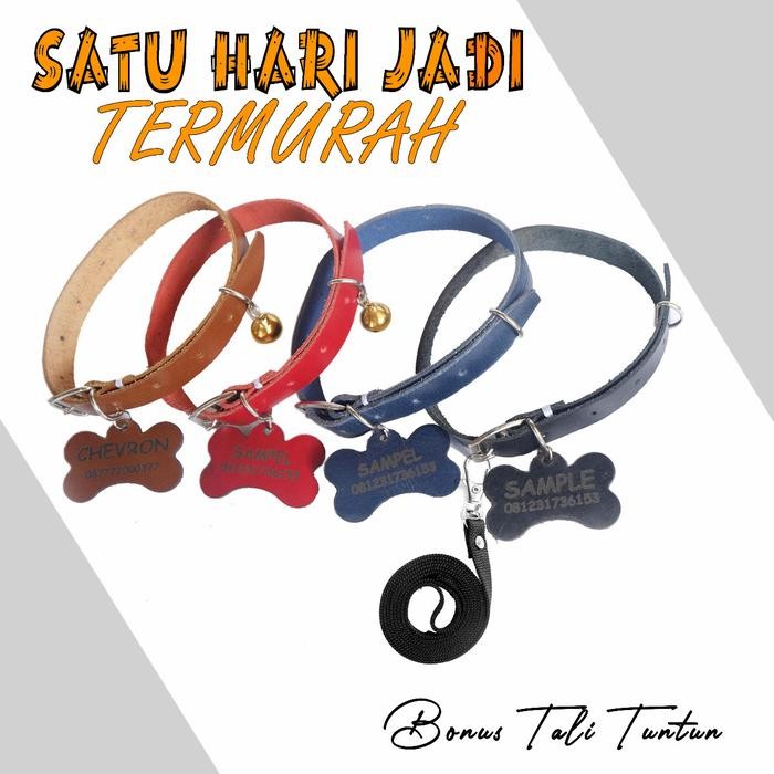 kalung anjing kulit asli dan kalung kucing kulit asli free lonceng