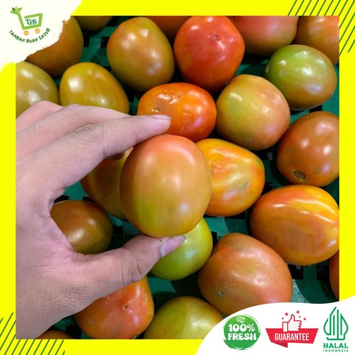 

Pilihan- Tomat Premium Tomat Fresh (Khusus Sameday Dan Instan)