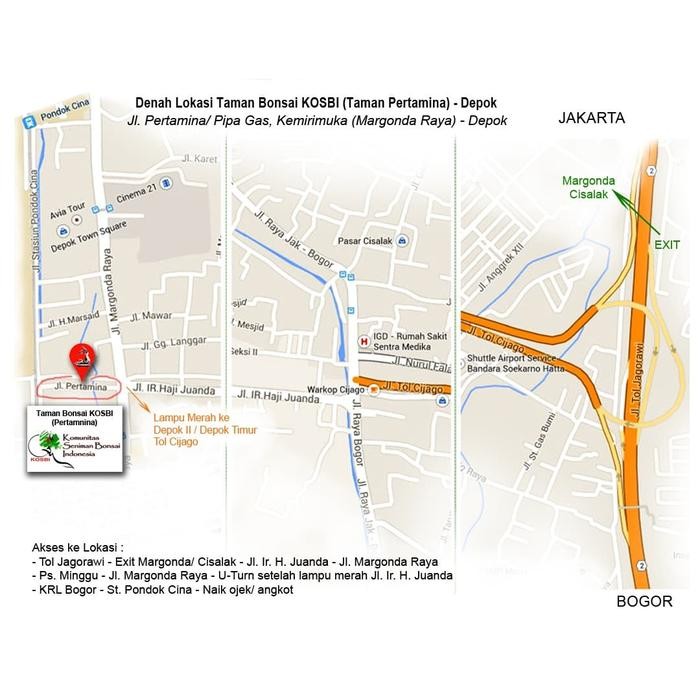 Pisau Kupas Bonsai Ryuga KF-4 JT- 1