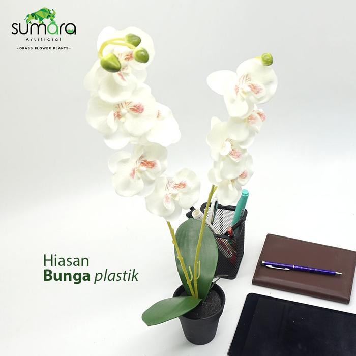 d253- Bunga Anggrek Putih Plastik + Pot Cantik