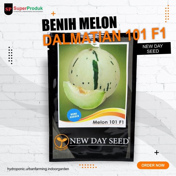 Stok Baru Benih-Bibit Melon 101 F1 Melon Dalmatian Sweet-New Day Seed