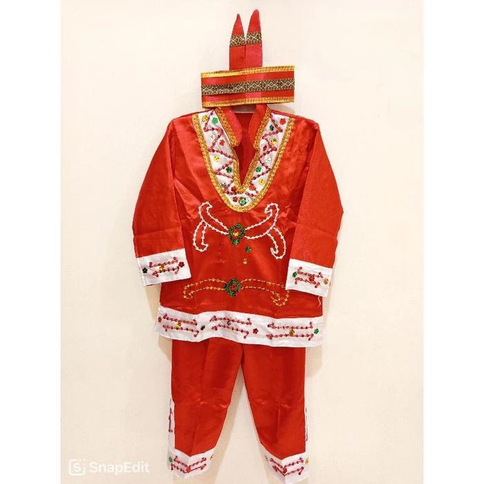 Adat Dayak Kalimantan Baju Adat Dayak Kalimantan Tengah Anak TK SD Laki Perempuan Cewek Cowok / Baju